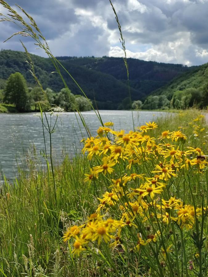Entre Meuse Et Foret Revin  Exteriör bild