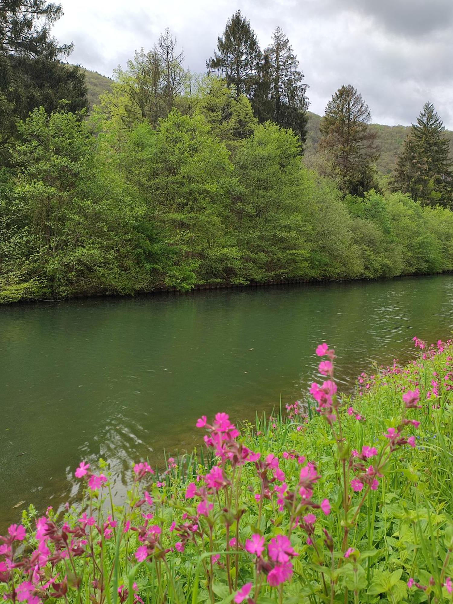 Entre Meuse Et Foret Revin  Exteriör bild