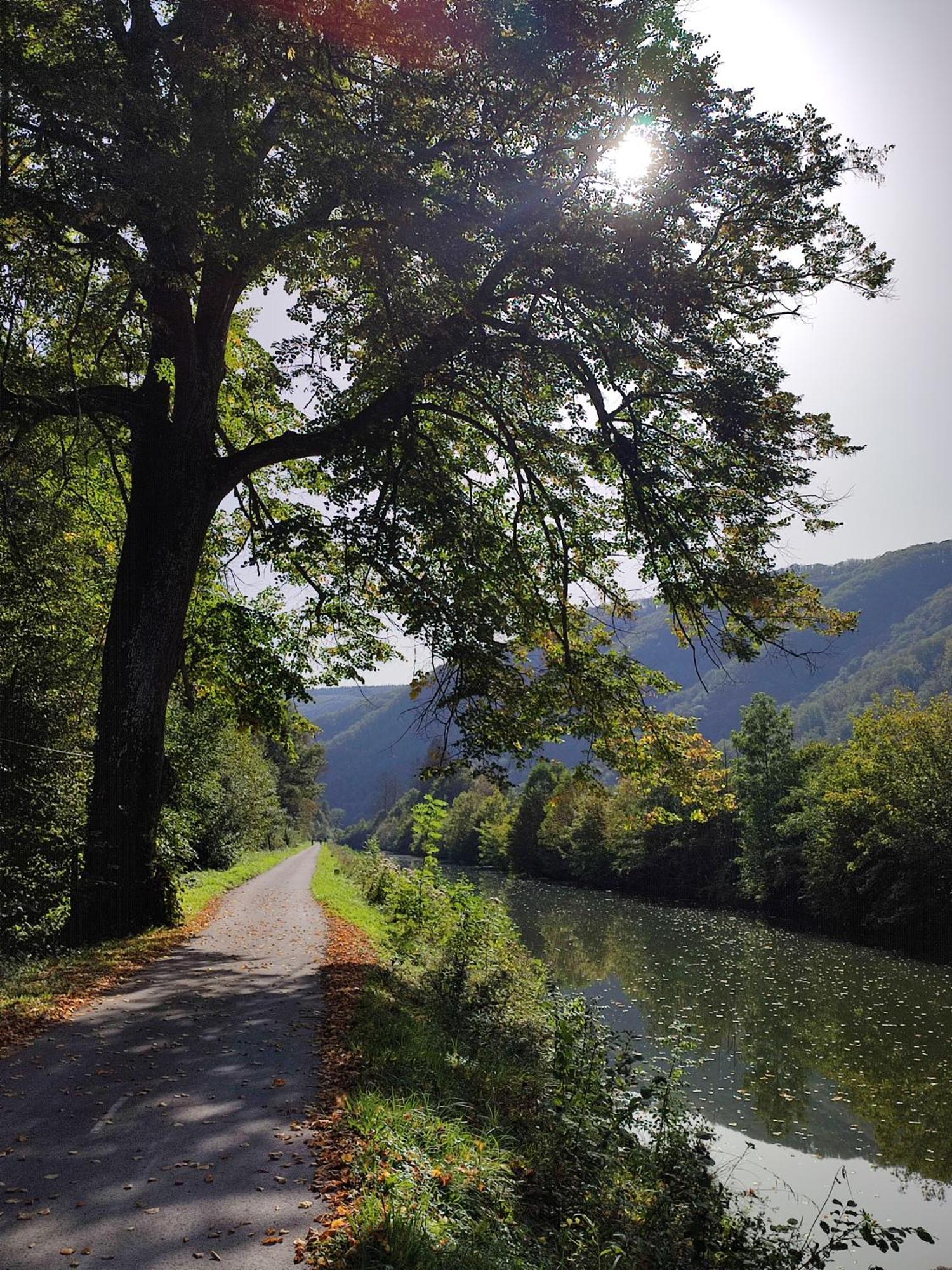 Entre Meuse Et Foret Revin  Exteriör bild